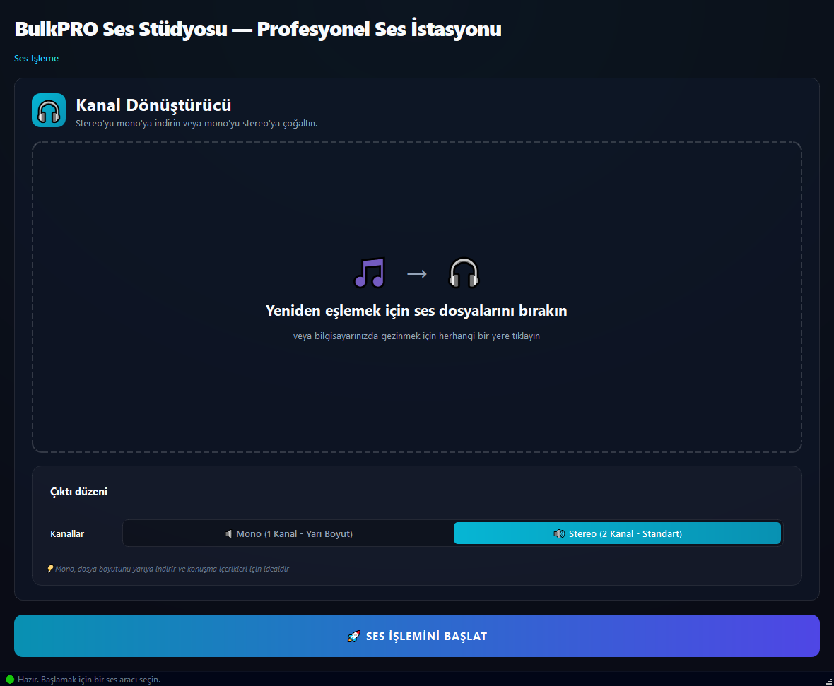 Ses Kanal Dönüştürücü aracı BulkPro uygulamasında, Windows'ta
