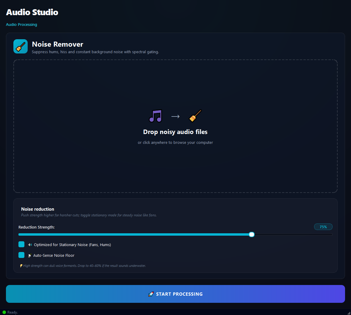 Audio Denoiser running in BulkPro on Windows