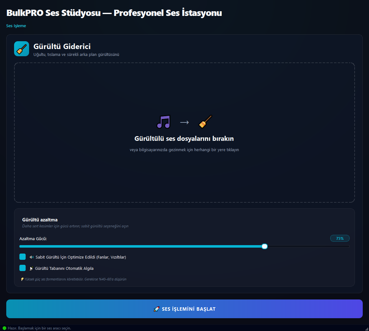 Ses Gürültü Temizleyici aracı BulkPro uygulamasında, Windows'ta