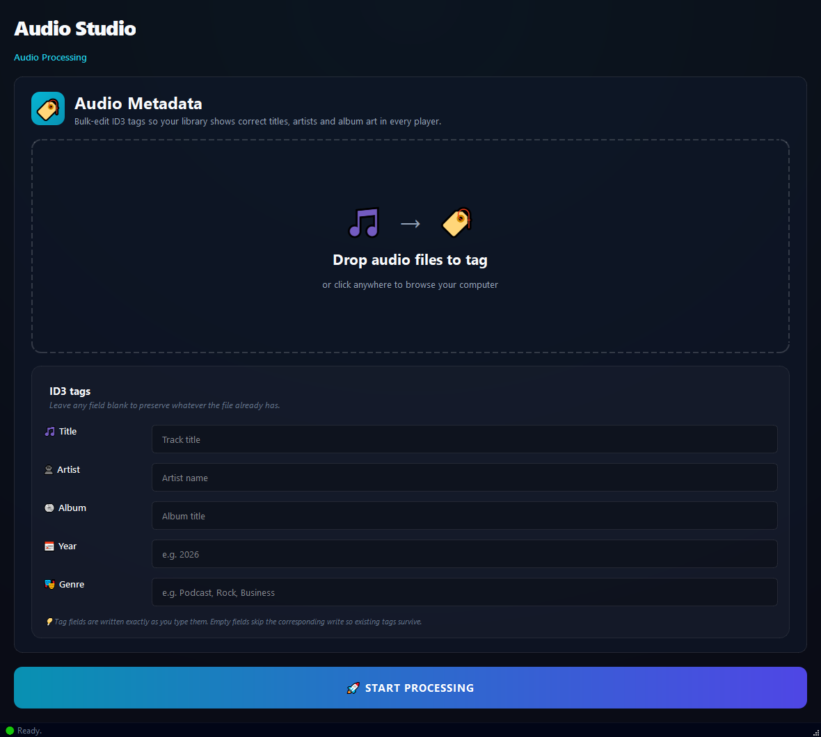 Audio Metadata Editor running in BulkPro on Windows
