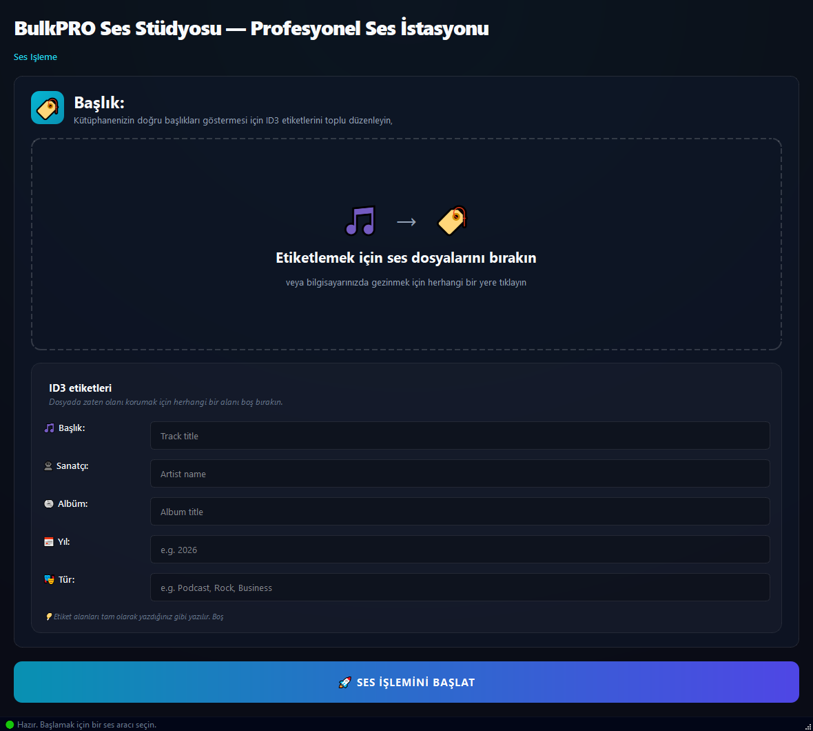 Ses Metadata Düzenleyici aracı BulkPro uygulamasında, Windows'ta
