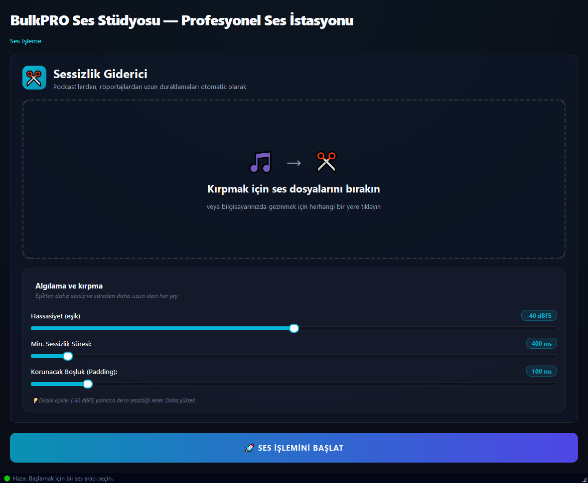 Sessizlik Temizleyici aracı BulkPro uygulamasında, Windows'ta