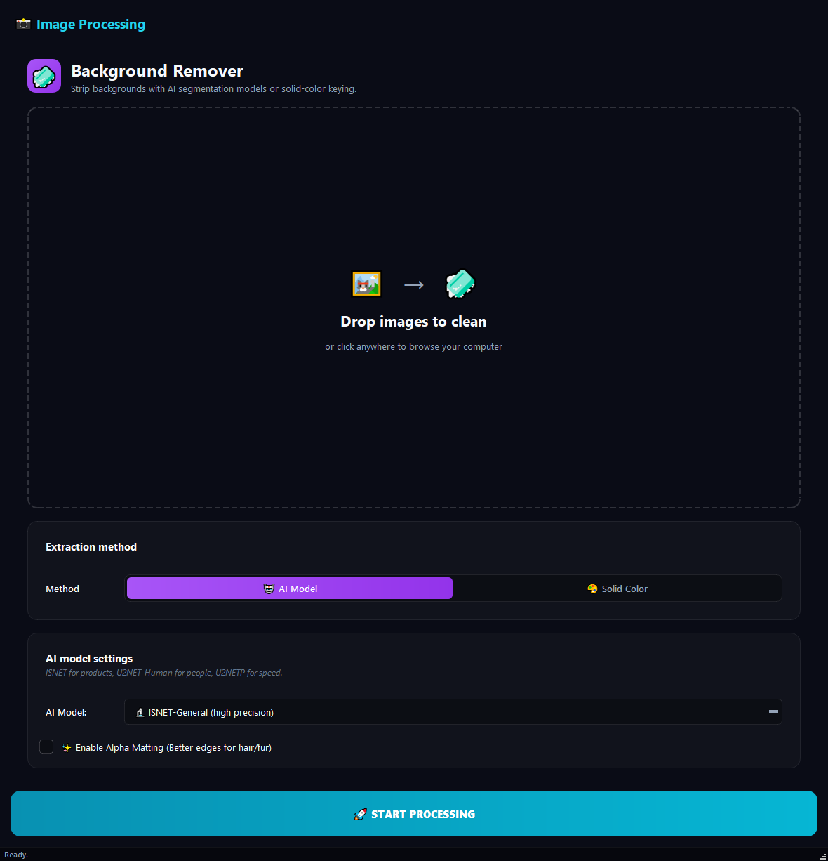 Background Remover running in BulkPro on Windows