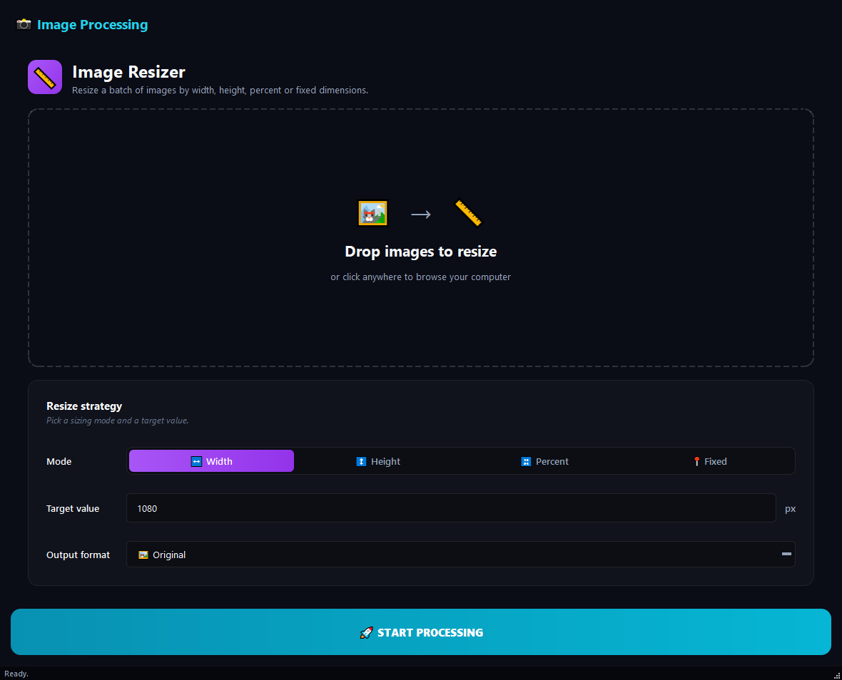 Image Resizer running in BulkPro on Windows