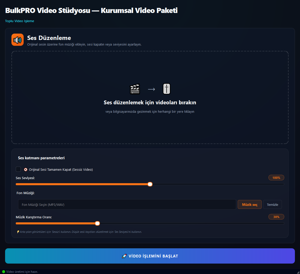 Video Ses Düzenleyici aracı BulkPro uygulamasında, Windows'ta